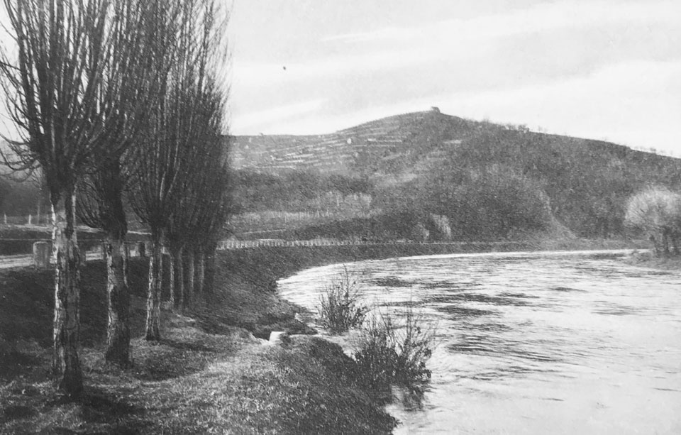 View of the Neckar river in Bad Cannstatt highlighting the habitat studied in the Para Sites environmental research project