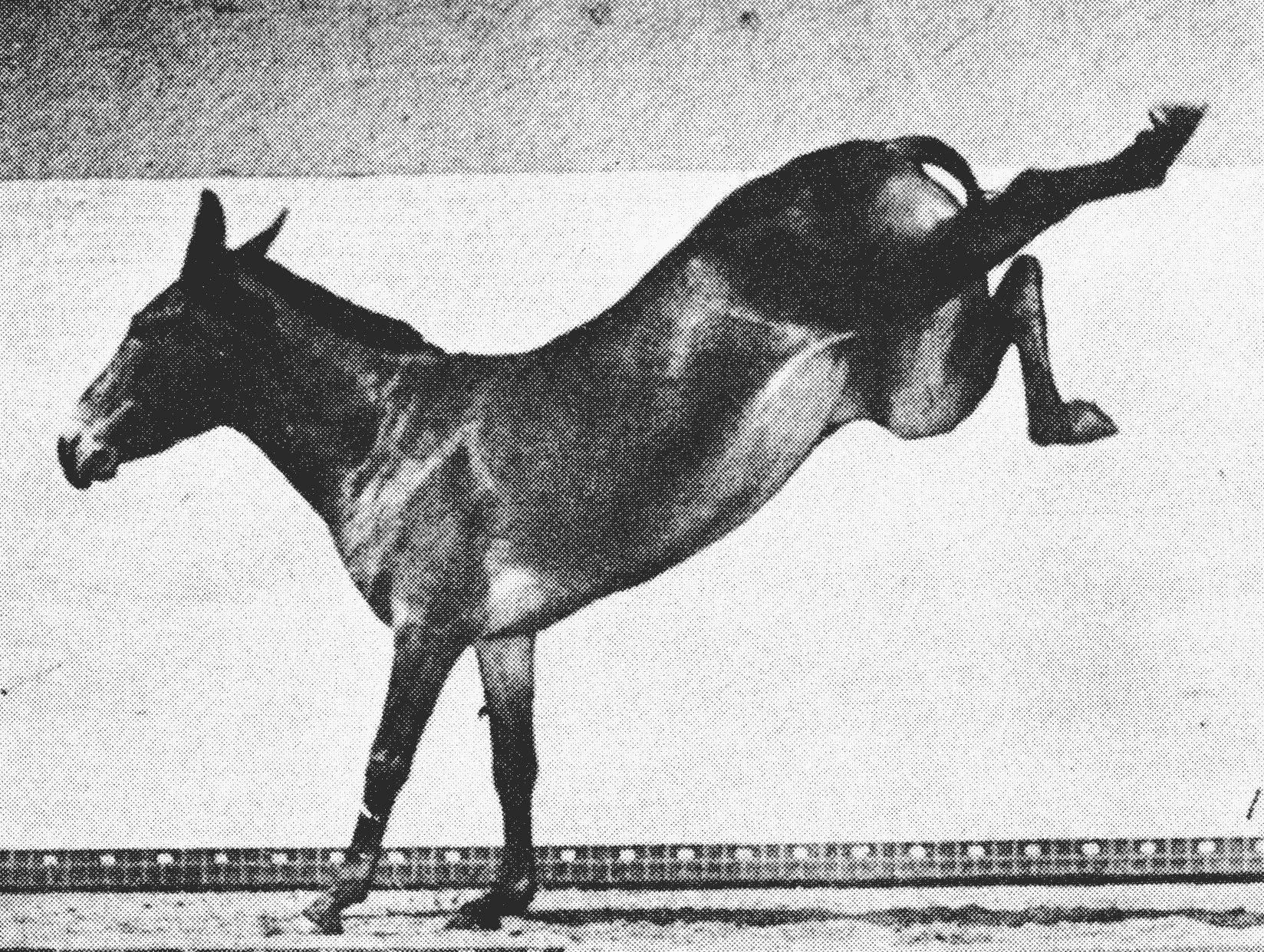 Animated horse movement study referencing force and rhythm in The Soft Machines speculative urban mobility research